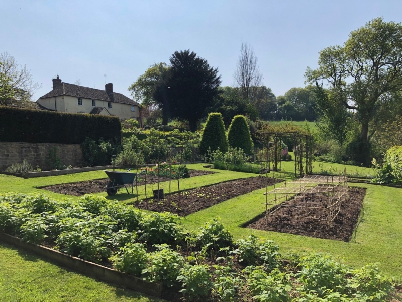 Frog Lane Flower Farm & Netherfields